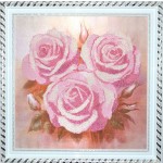 Розовые розы