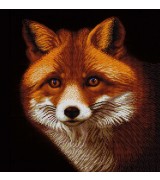 Рыжая красотка