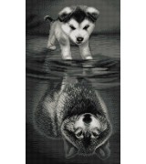 Воображение 3 